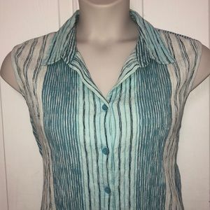 Blue Striped Sleeveless Button Down Blouse